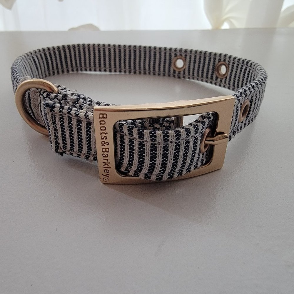 Dog Collar 13" Long, Black/White Stripe with Gold Buckle